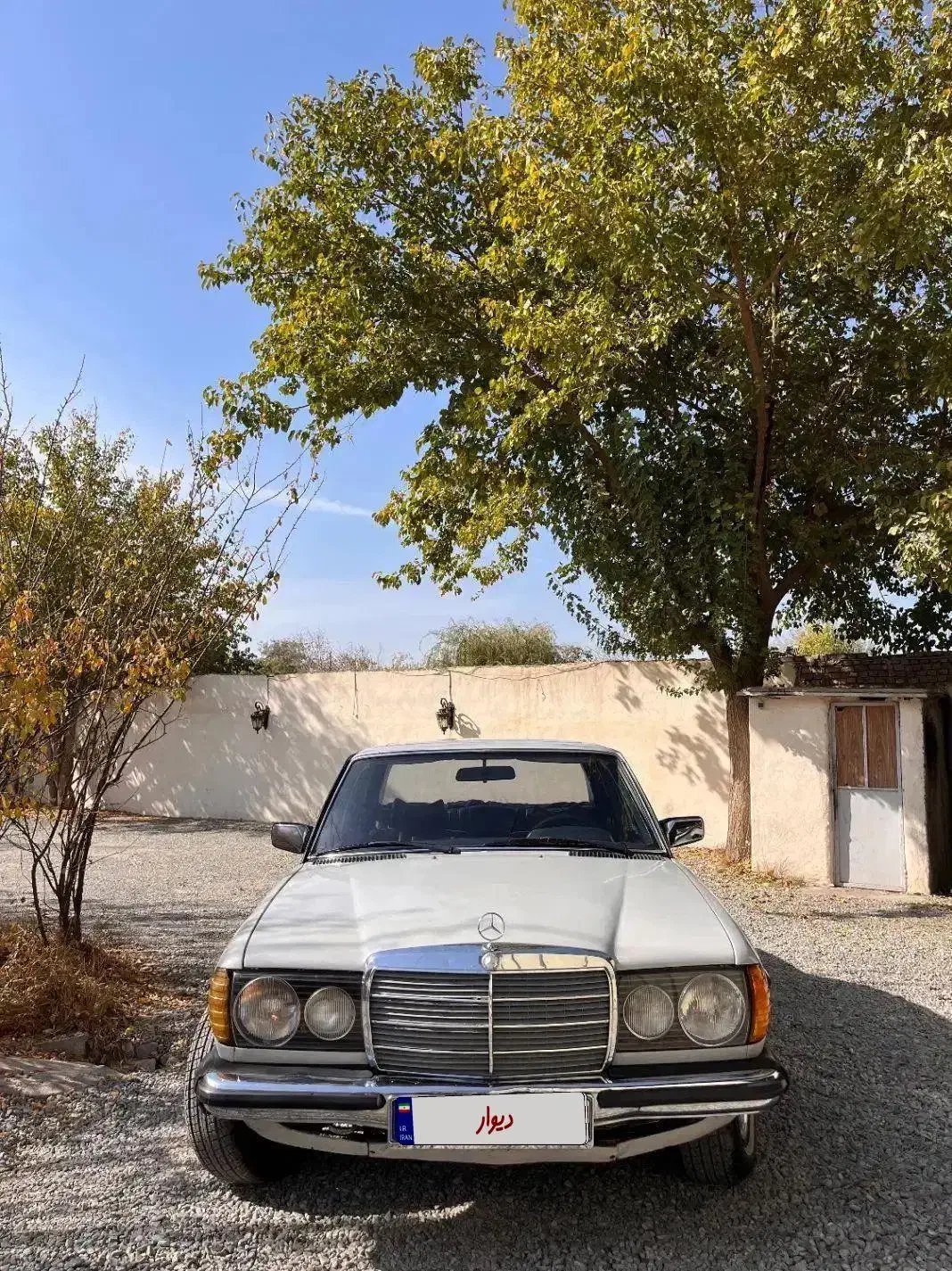 بنز دانشجویی|خودرو کلاسیک|کرج, چمن|دیوار