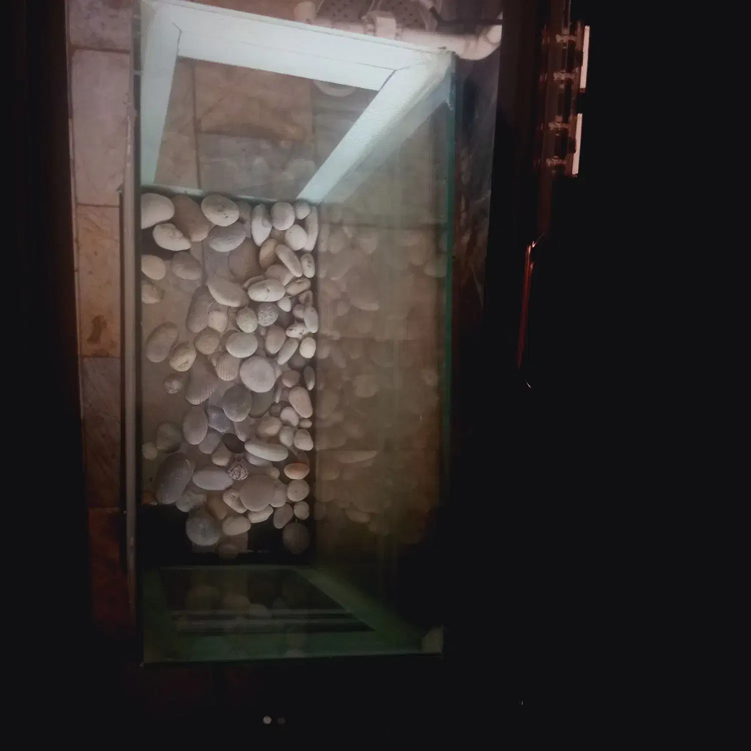 آکواریوم|ماهی|نسیمشهر, |دیوار