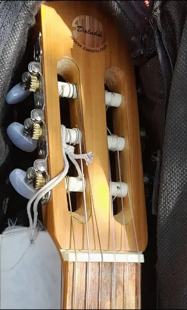گیتار کلاسیک دالاهو|گیتار، بیس، امپلیفایر|شادگان, |دیوار