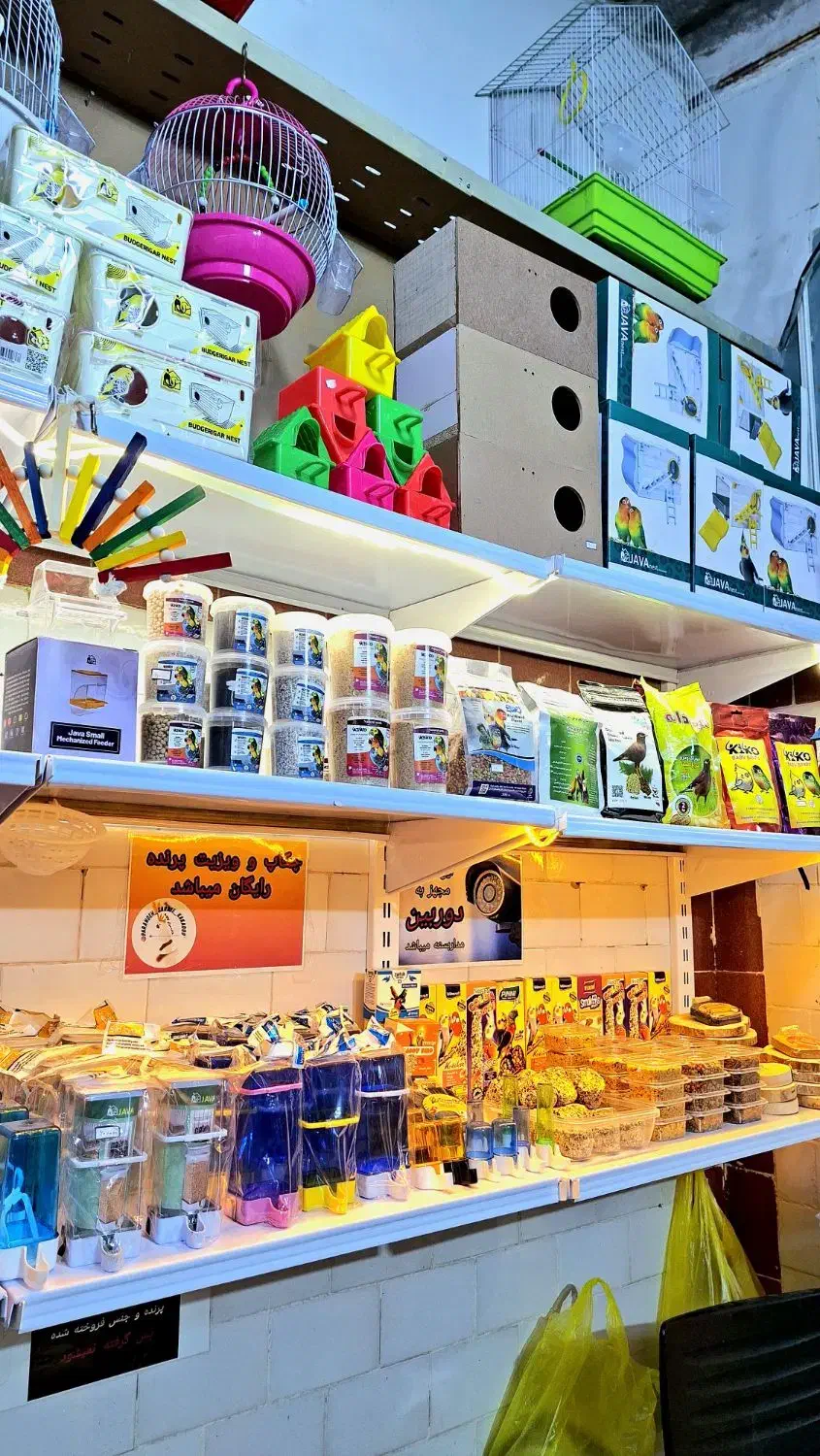 *پرنده سـرای کاکـادو*|پرنده|سنندج, |دیوار