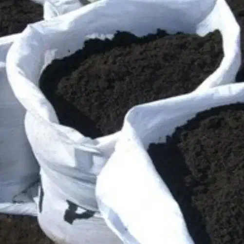 حراج  کمپوست قارچ دکمه ای|حراج|مهریز, |دیوار