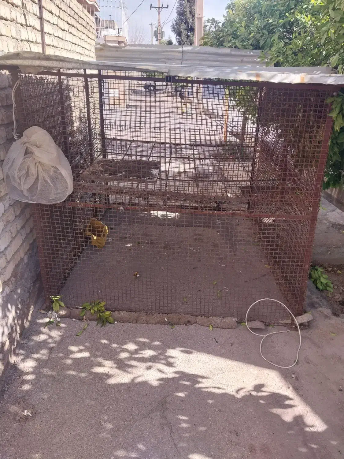 قفس مرغ|لوازم جانبی حیوانات|شیراز, محراب|دیوار