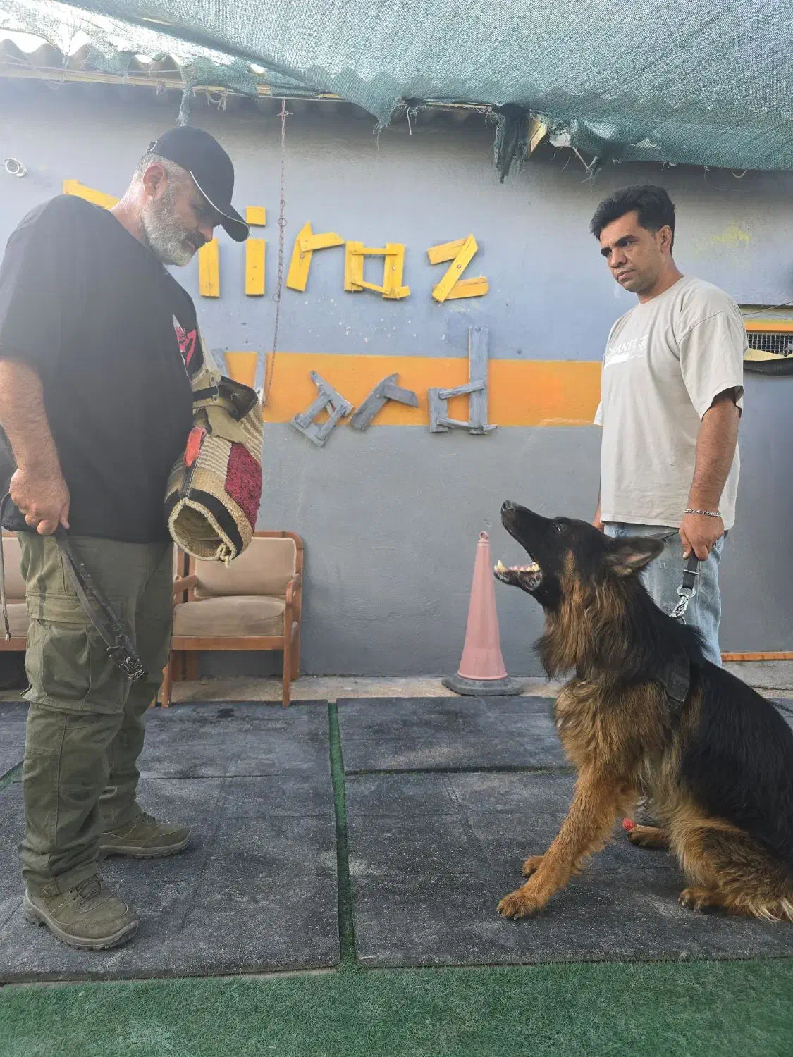 مربی سگ آموزش سگ|سگ|شیراز, میانرود|دیوار