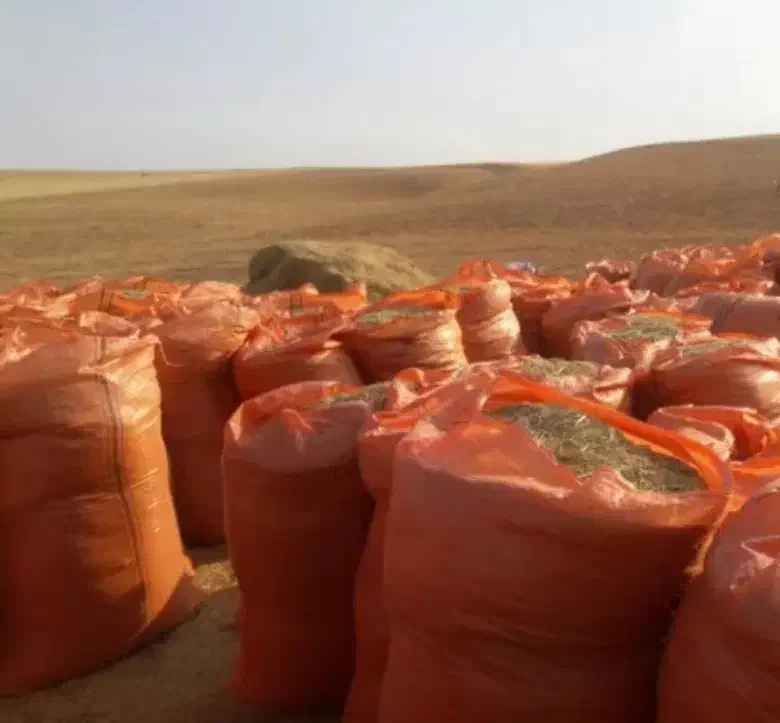 کاه|حراج|دهدشت, |دیوار