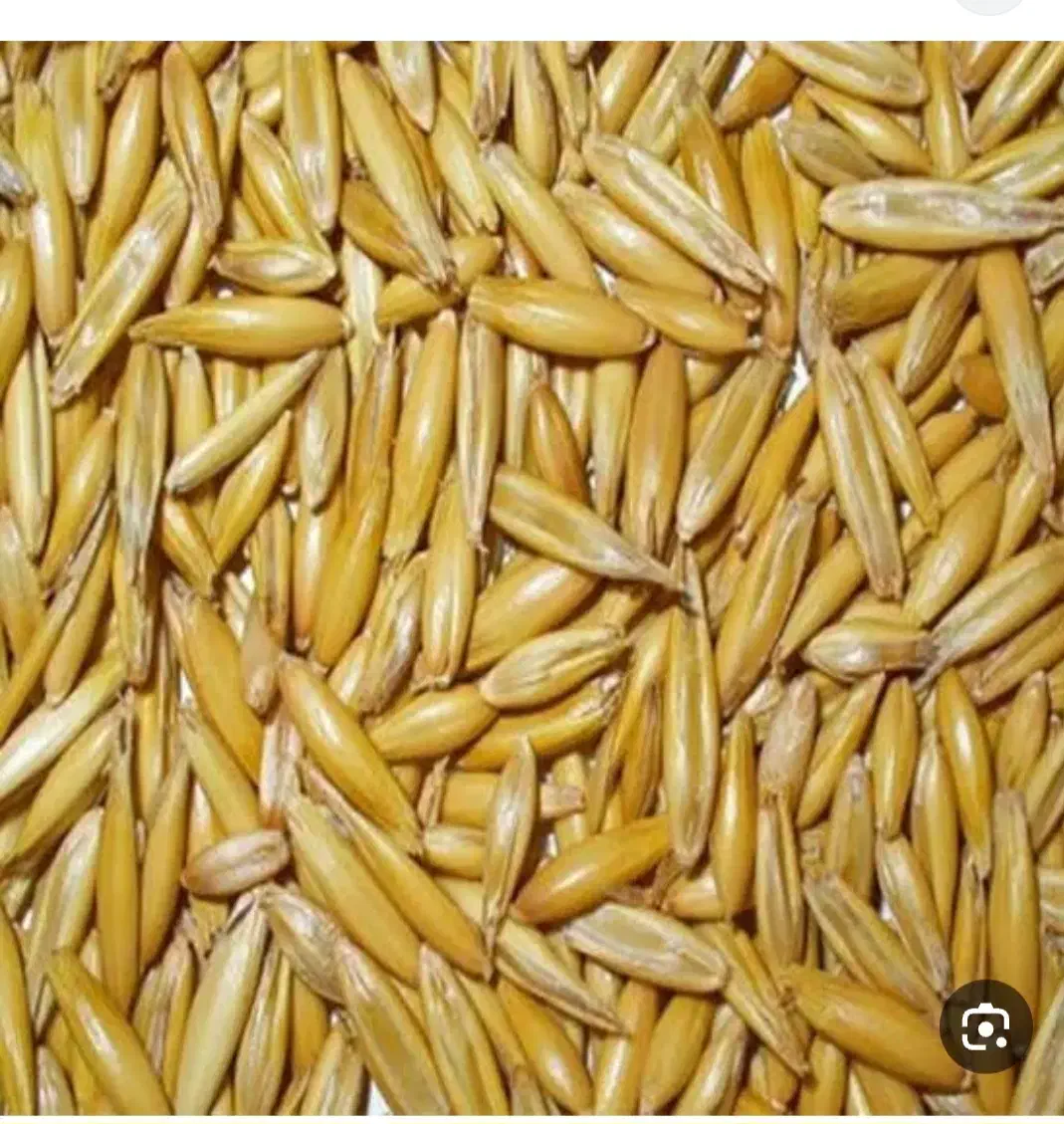 280کیلوجو کیلویی32|خوردنی و آشامیدنی|خاوه, |دیوار