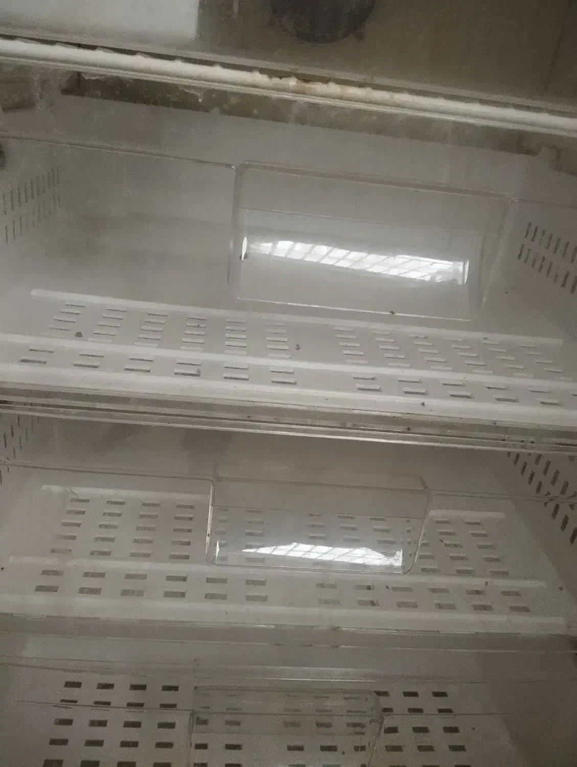 یخچال|یخچال و فریزر|آمل, |دیوار