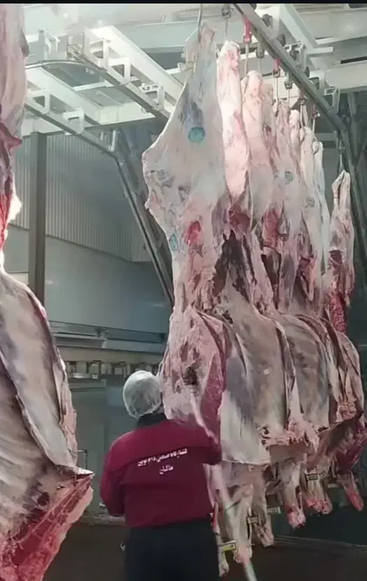 شاگرد ماهر و نیمه ماهر قصابی|استخدام خدمات فروشگاه و رستوران|تبریز, |دیوار