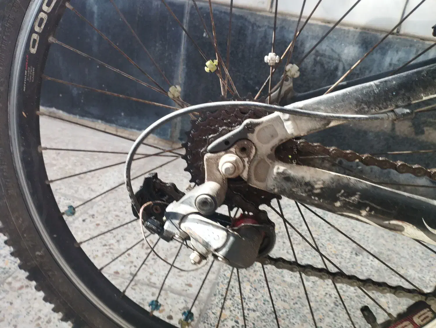 دوچرخه ویوا ۲۴|دوچرخه، اسکیت، اسکوتر|اهواز, گلستان|دیوار