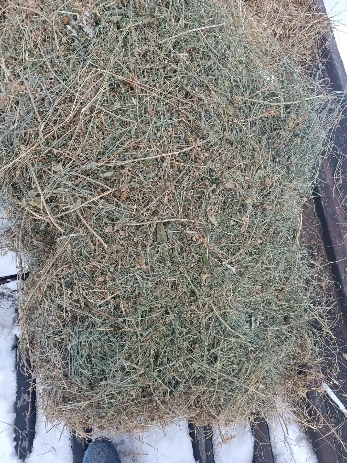 یونجه تازه خوشک|لوازم جانبی حیوانات|سراجو, |دیوار