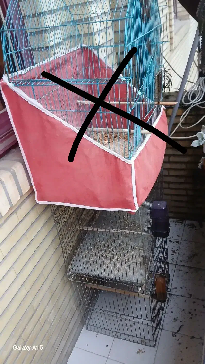 قفس پرنده سالم|لوازم جانبی حیوانات|رشت, چمارسرا|دیوار