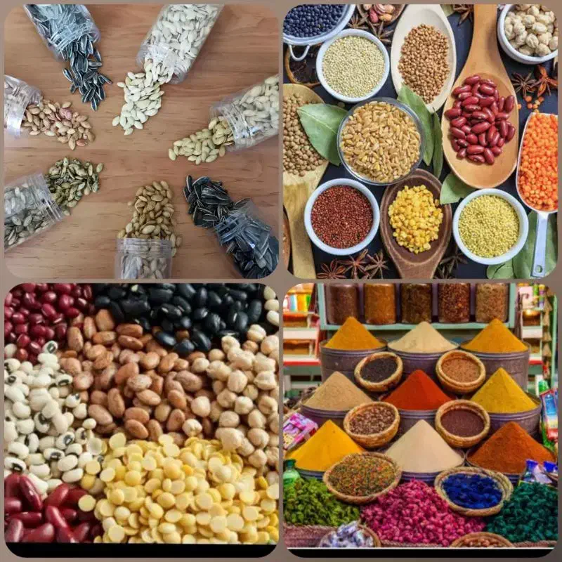 لوبیا درجه یک|حراج|لاجان, |دیوار