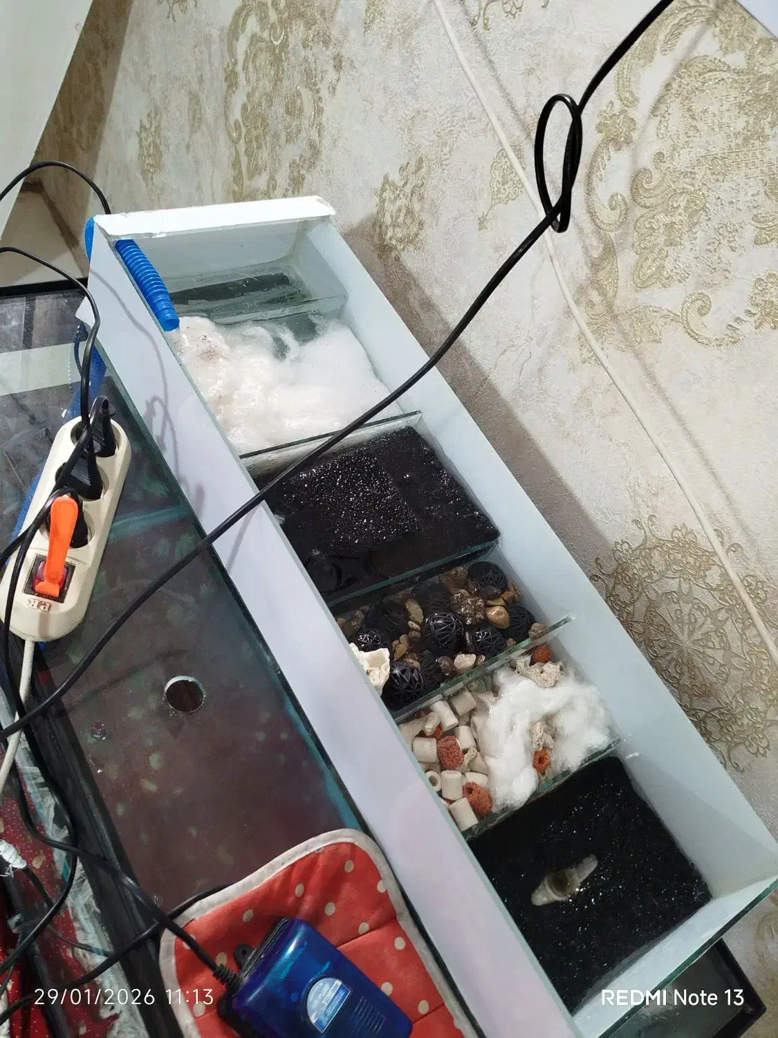 اکواریوم|ماهی|خرمآباد, |دیوار