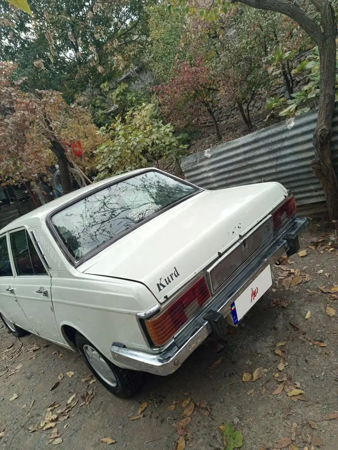 پیکان 83 شاسی پلمپ|خودرو سواری و وانت|ربط, |دیوار