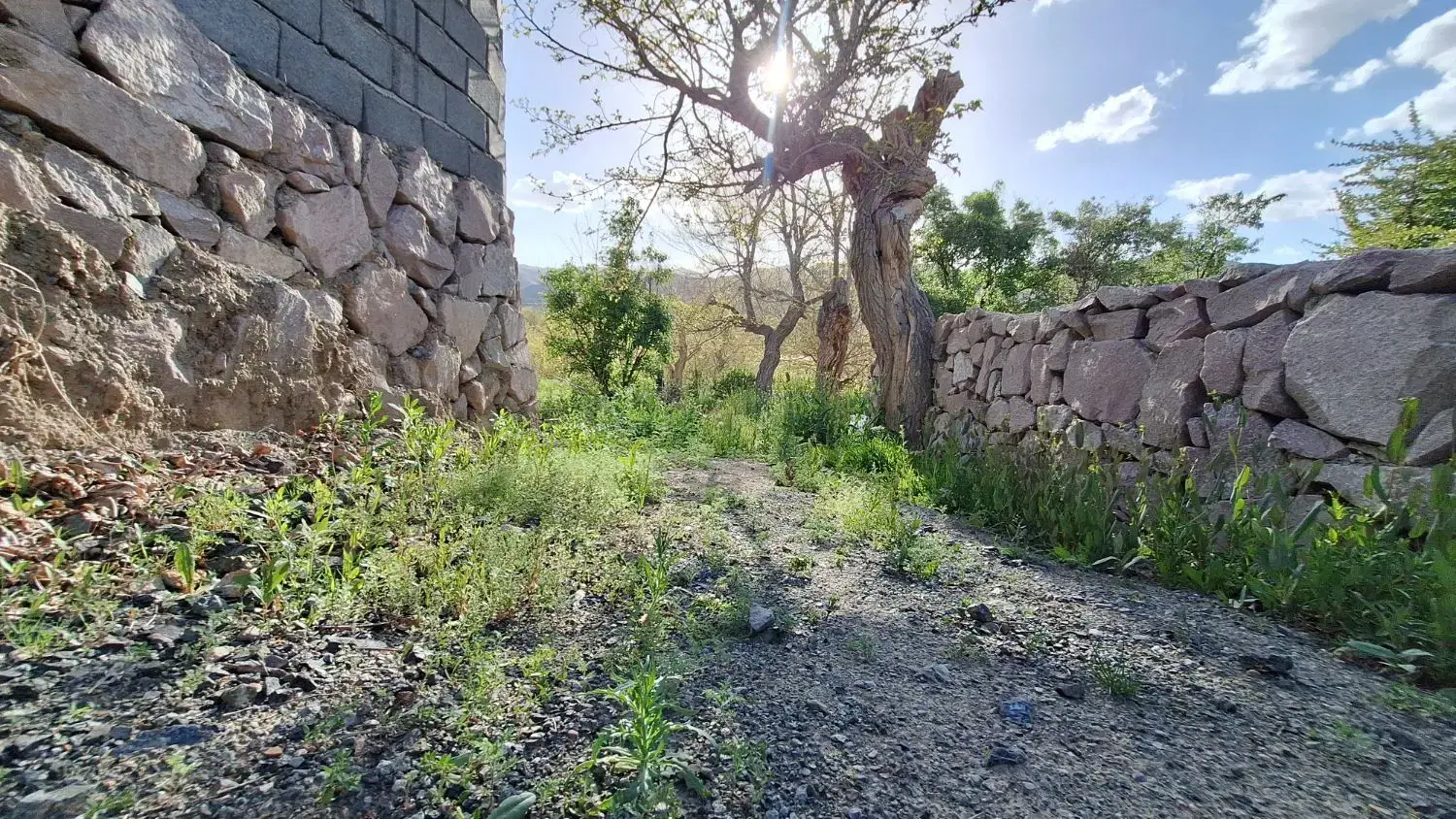 تصویر 13
