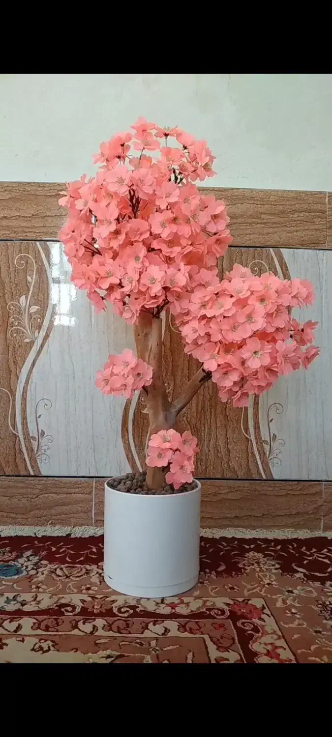 درختچه مصنوعی بابا آدم لمسی|گل مصنوعی|رامشیر, |دیوار