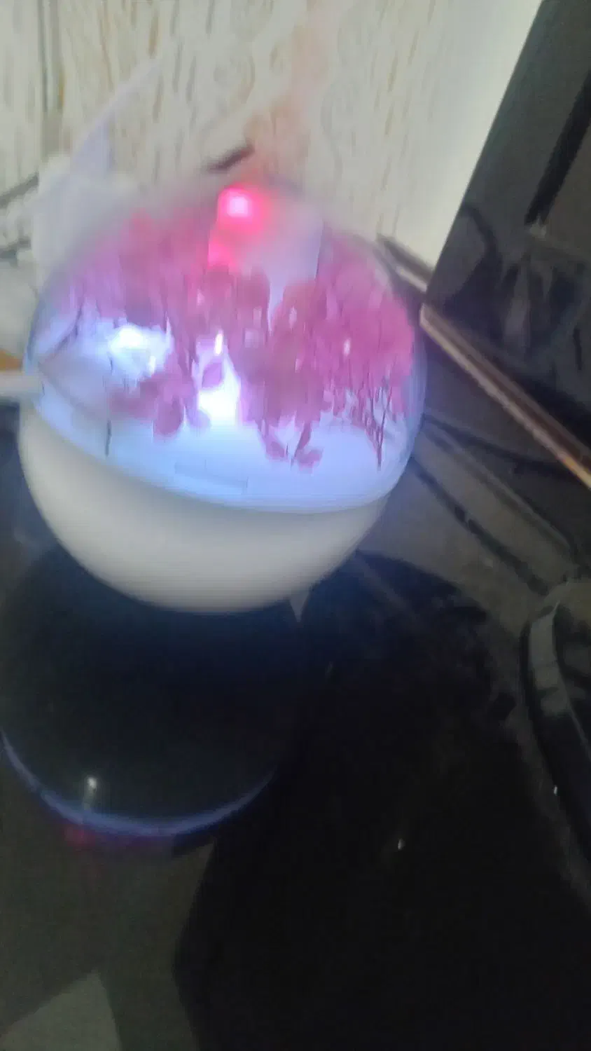 دستگاه بخار|آرایشی، بهداشتی، درمانی|بناب, |دیوار