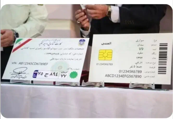 گمشده|اشیا|شیراز, سرو|دیوار