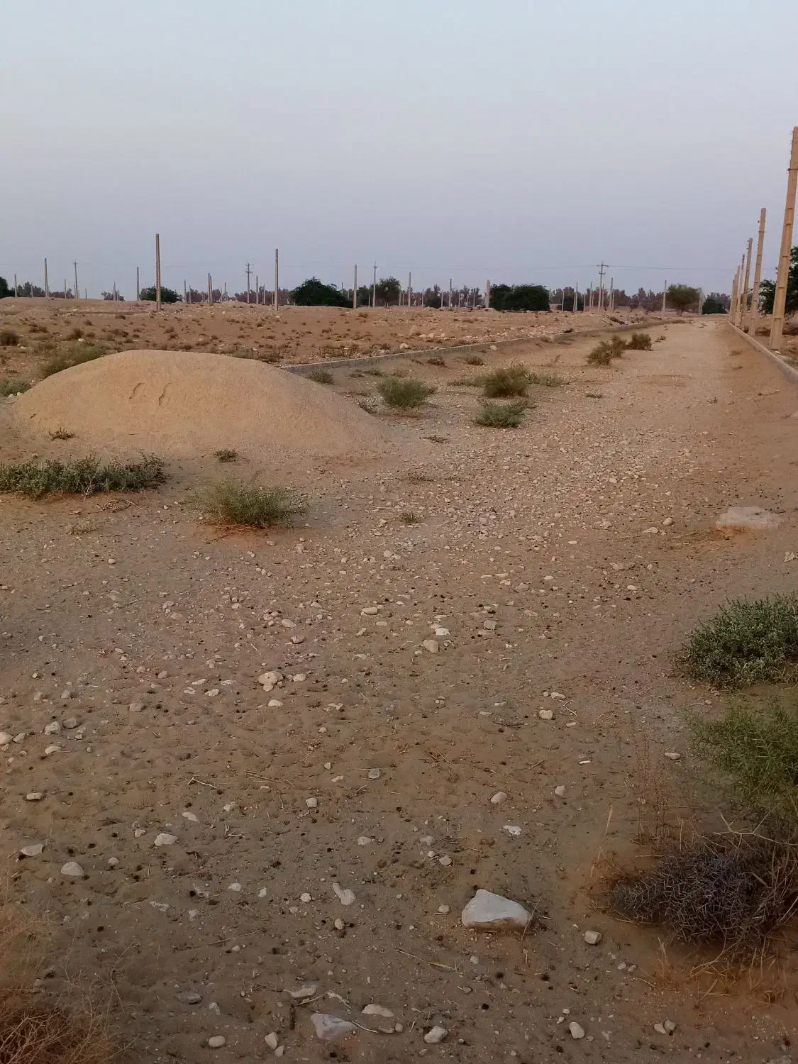 فروش زمین 2000متری|فروش دفتر صنعتی، کشاورزی، تجاری|برازجان, |دیوار