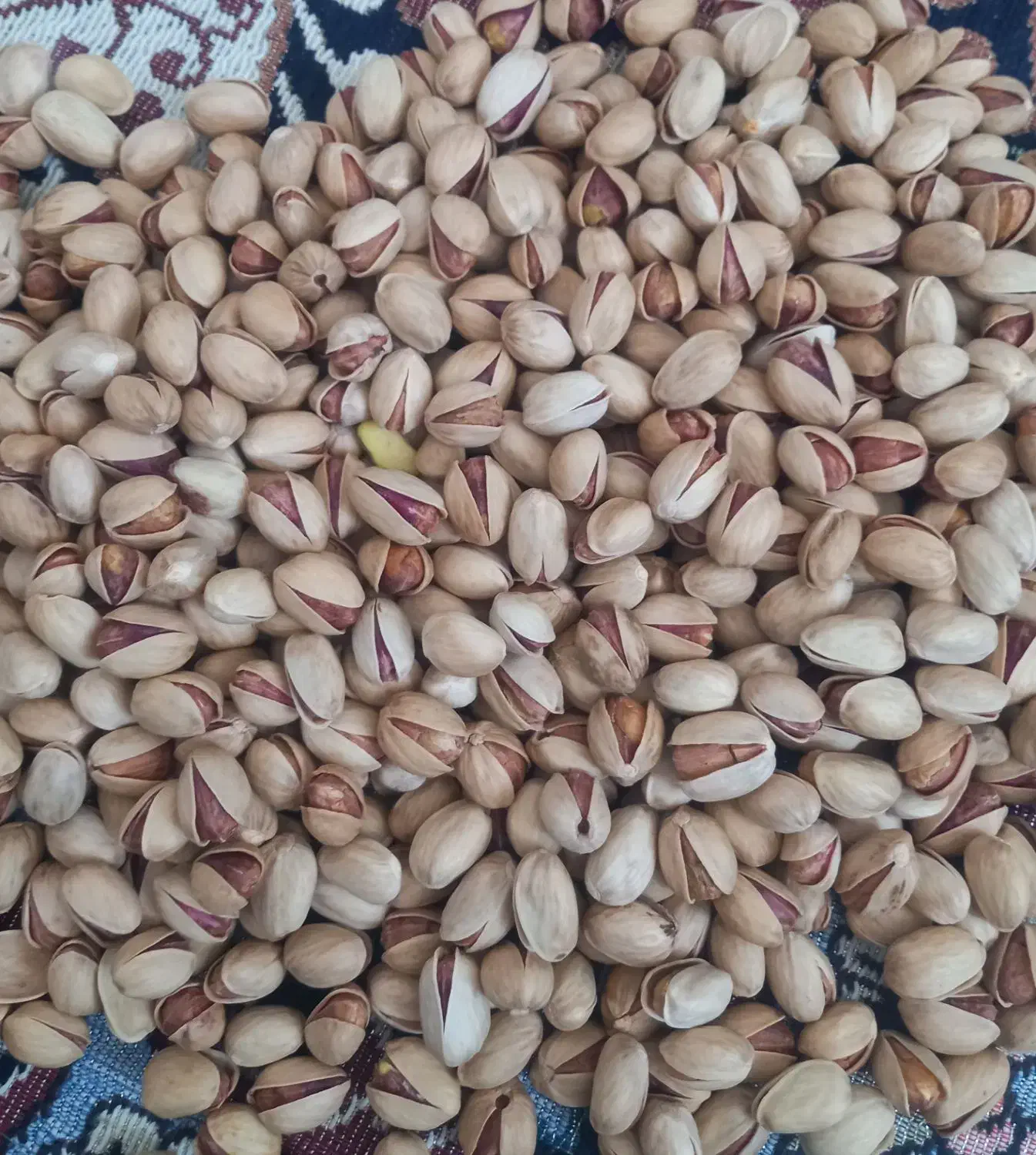 پسته فندقی درشت|خوردنی و آشامیدنی|بختگان, |دیوار