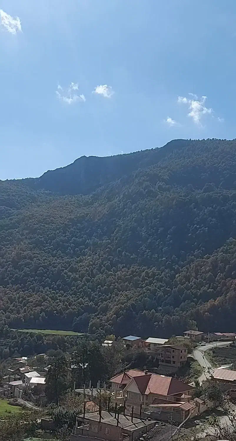 زمین ۴۴۵ متری جنگلی کوهستانی (کاربری مسکونی)|فروش زمین و ملک کلنگی|آلاشت, |دیوار