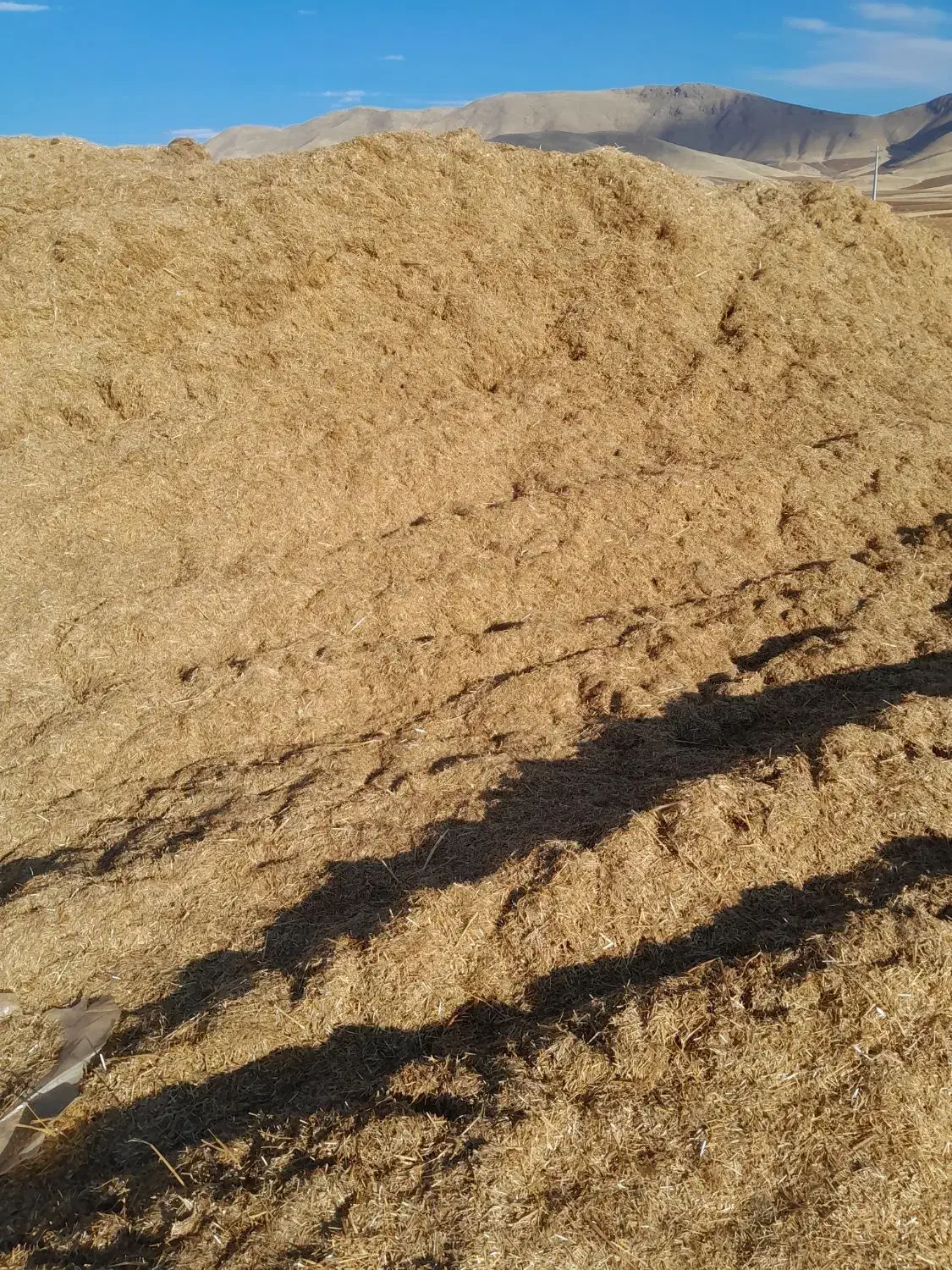 کاه باران زده|حراج|کامیاران, |دیوار