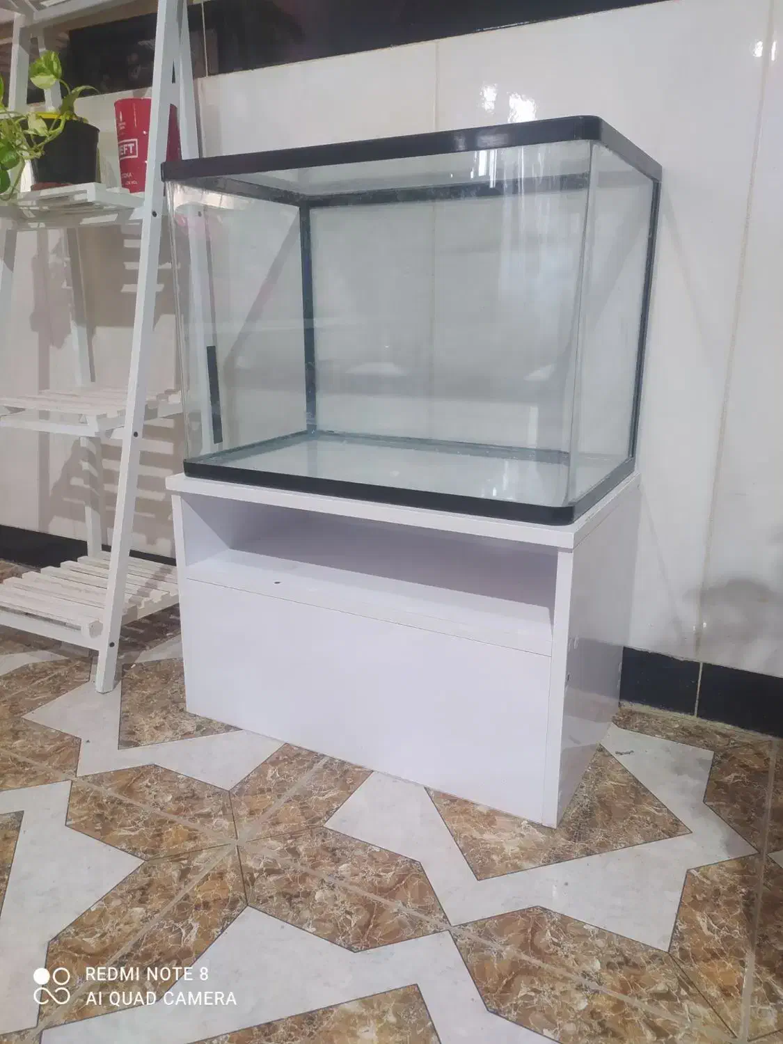 اکواریوم وماهی گلدفیش|ماهی|اسلامآباد غرب, |دیوار