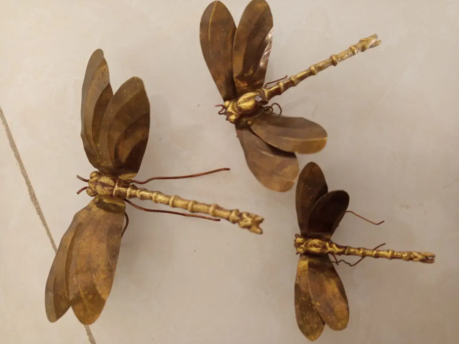 برنز سنجاقک|مجسمه، تندیس، ماکت|خرمآباد, |دیوار