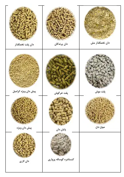 دان کبوتر|لوازم جانبی حیوانات|هشتگرد, کوی یاران|دیوار