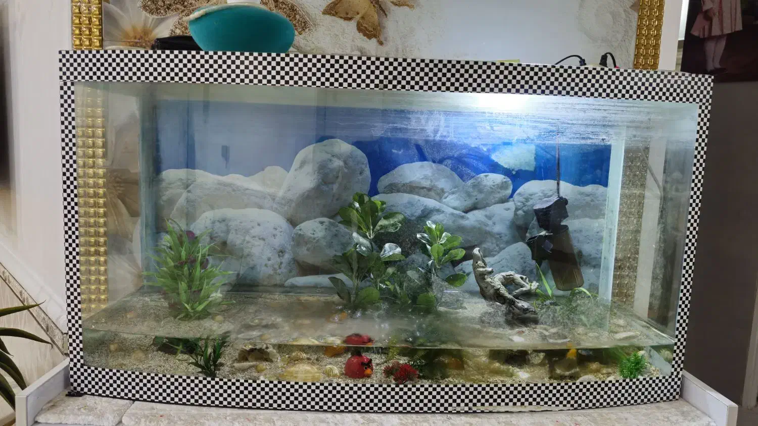 آکواریوم ماهی|ماهی|لامرد, |دیوار