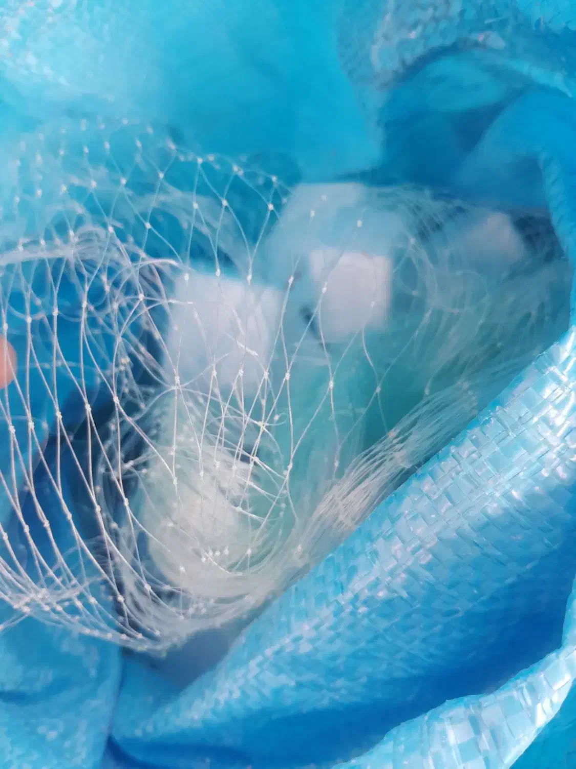 تور گریزی شماره ۲۸|ماهیگیری|بندرعباس, |دیوار