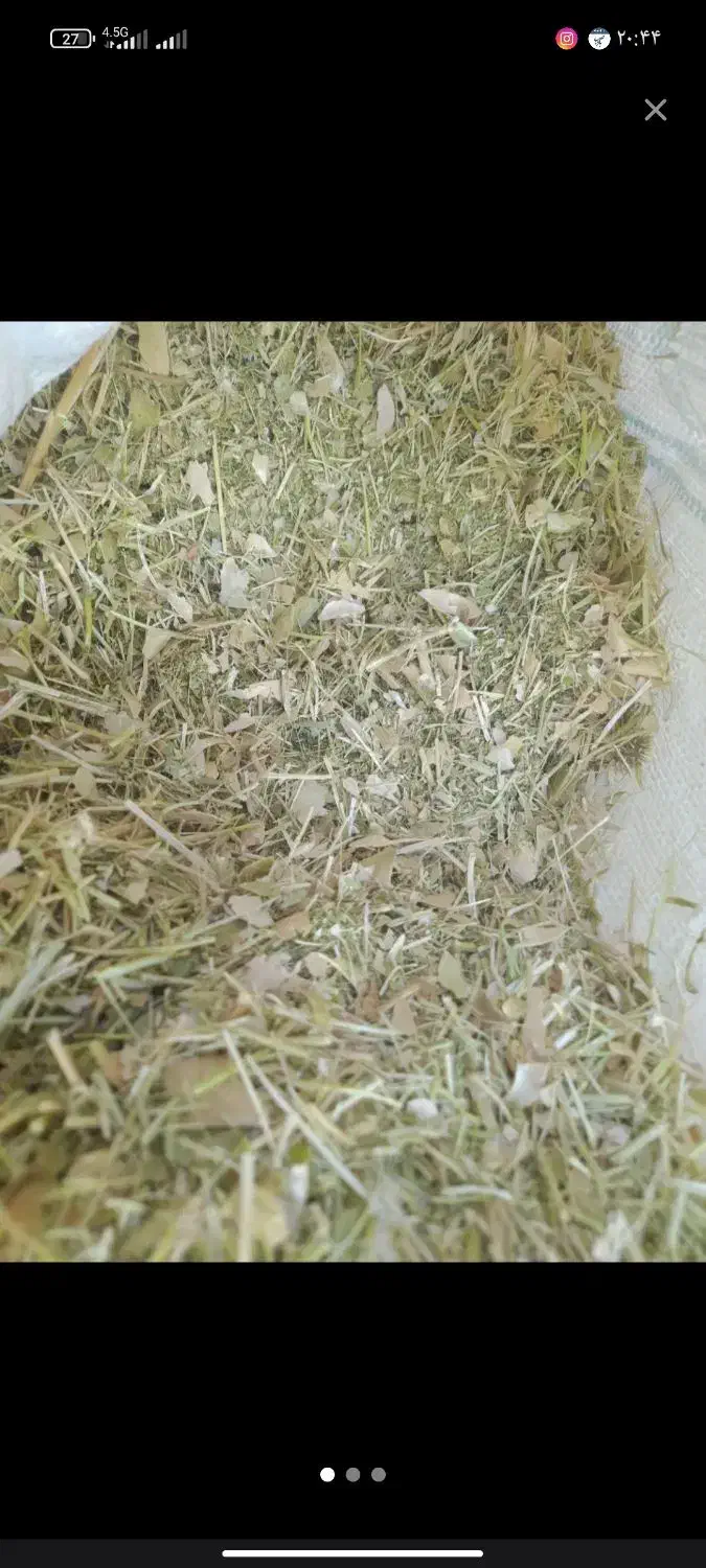 فروش کاه گندم ولوبیا|عمدهفروشی|قزوین, |دیوار