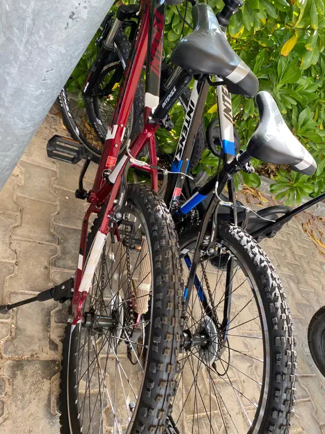 اجاره دوچرخه|دوچرخه، اسکیت، اسکوتر|کیش, |دیوار