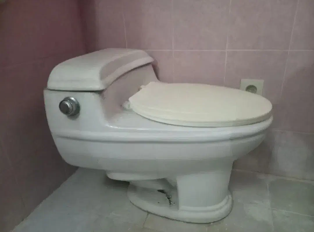 دستشویی فرنگی تمیز و سالم چینی|لوازم سرویس بهداشتی|زابل, |دیوار