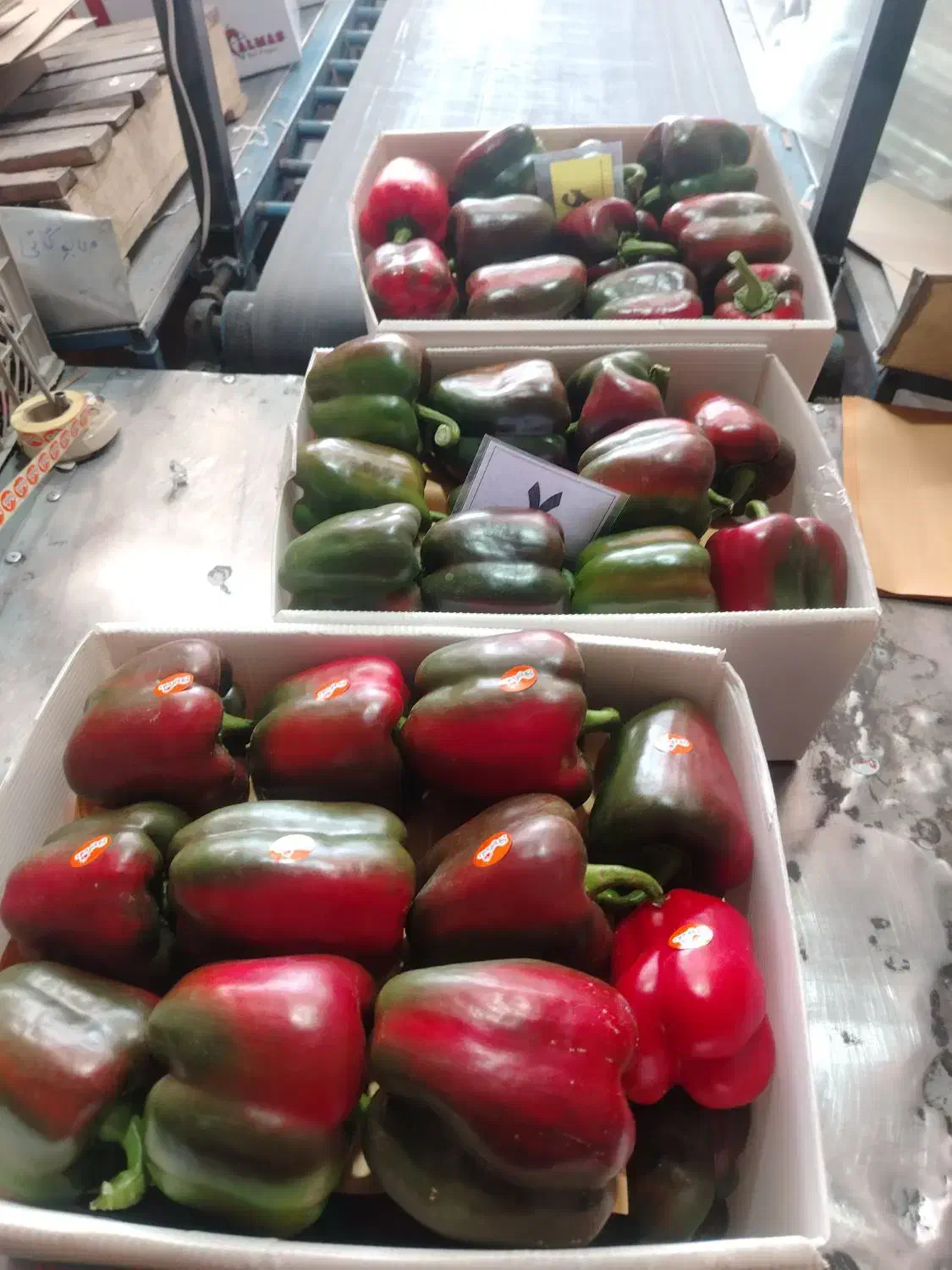 نیروی خانم جهت سورت و بسته بندی فلفل|استخدام صنعتی، فنی، مهندسی|تیران, |دیوار