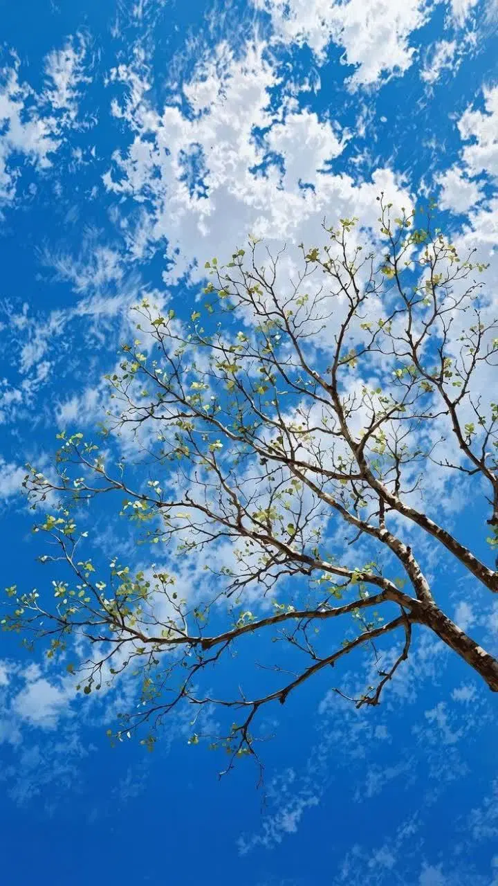 کارت ملی|تلفن رومیزی|اسلام‌‌آباد غرب, |دیوار