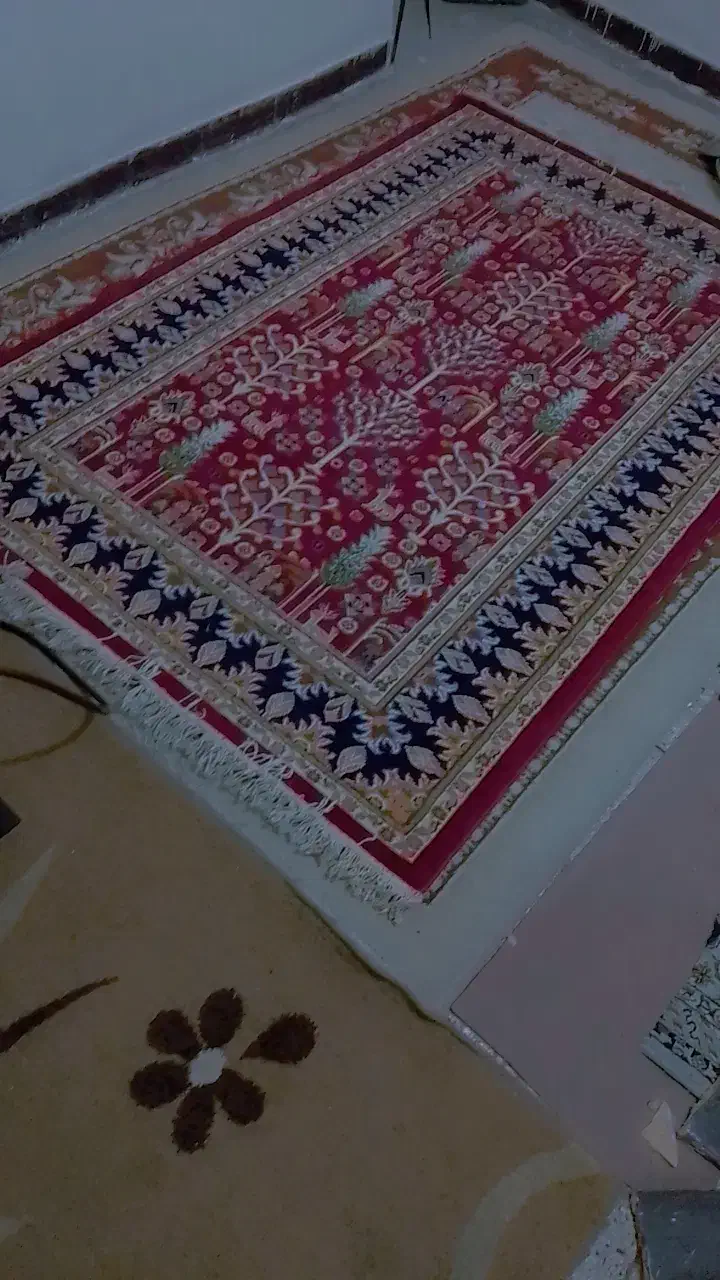 قالی نو|فرش|اهواز, بیست متری شهرداری|دیوار