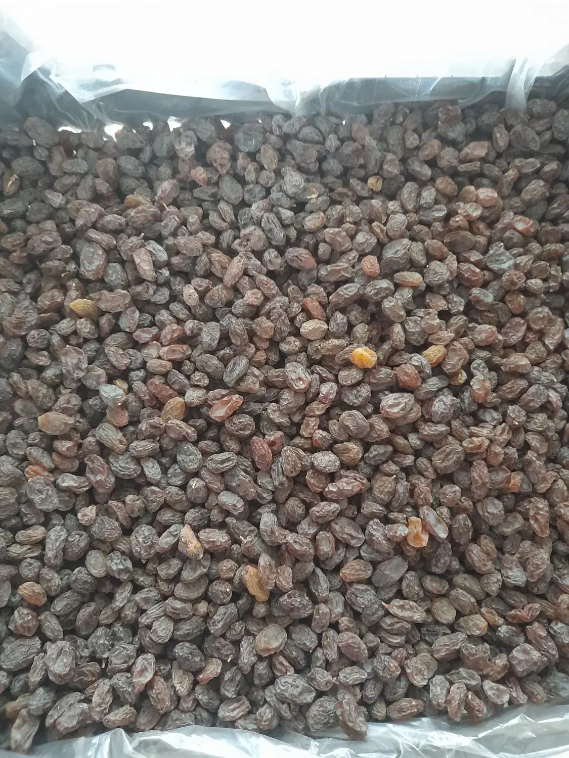 کشمش آفتابی امساله (یک دست درجه یک)|خوردنی و آشامیدنی|کرج, ساسانی (قلمستان)|دیوار