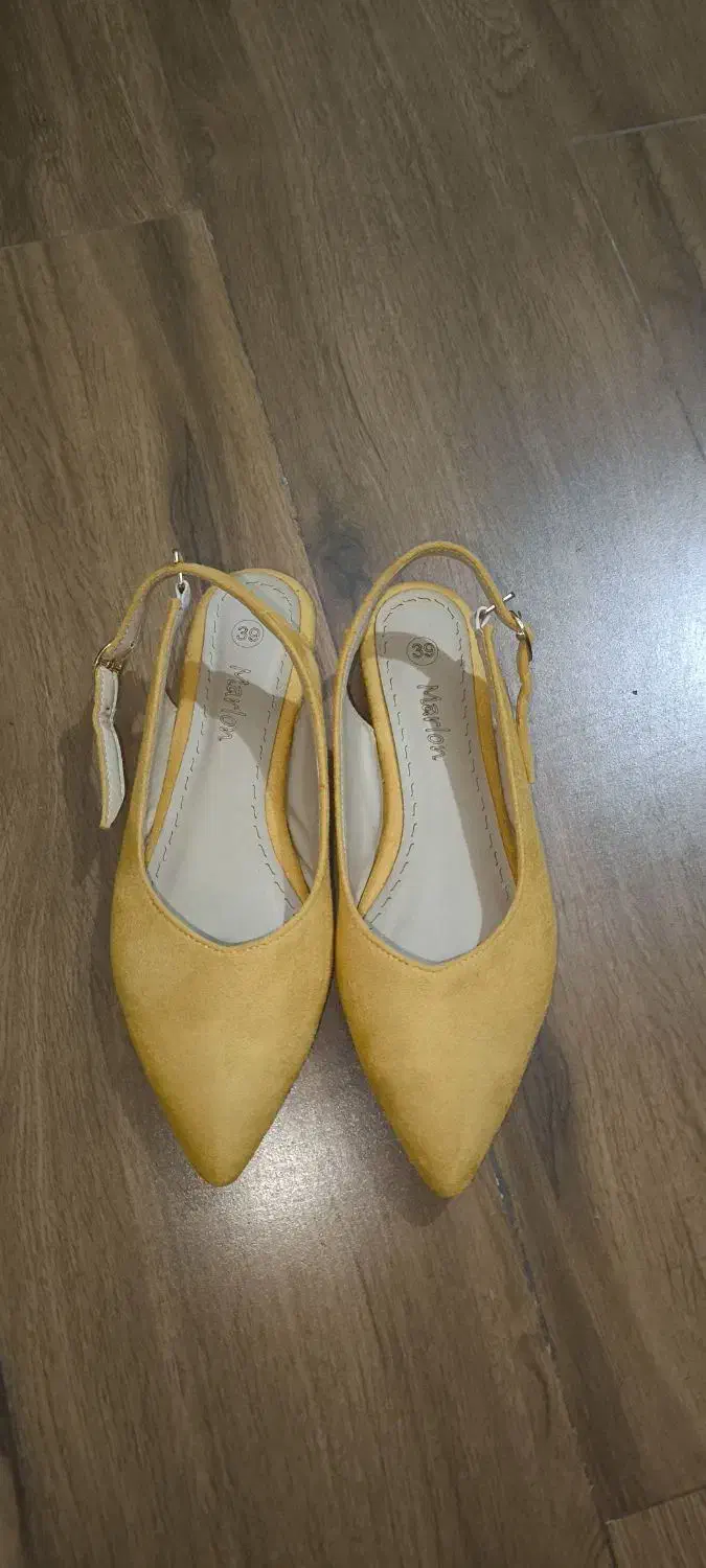 کفش مجلسی|کیف، کفش، کمربند|لاهیجان, انقلاب|دیوار