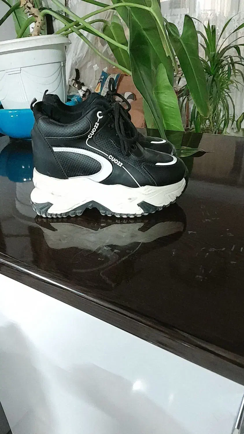 کفش|کیف، کفش، کمربند|نیشابور, فخریه|دیوار