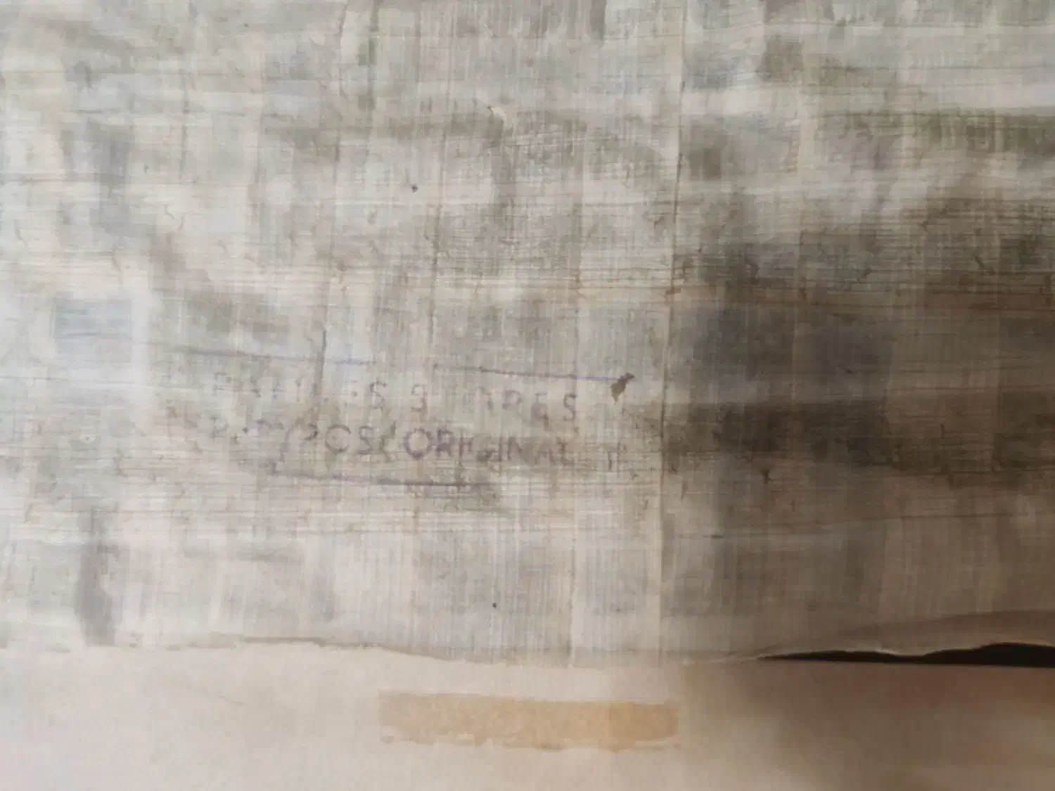 پاپیروس اصل|تابلو، نقاشی، عکس|شیراز, شهرک مدرس|دیوار