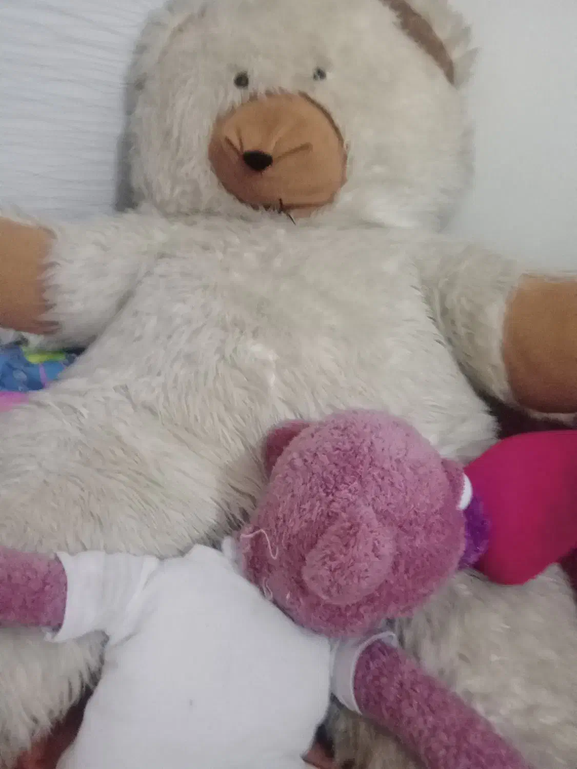 حراج فوری عروسک|اسباب‌‌بازی|مشهد, امیر|دیوار