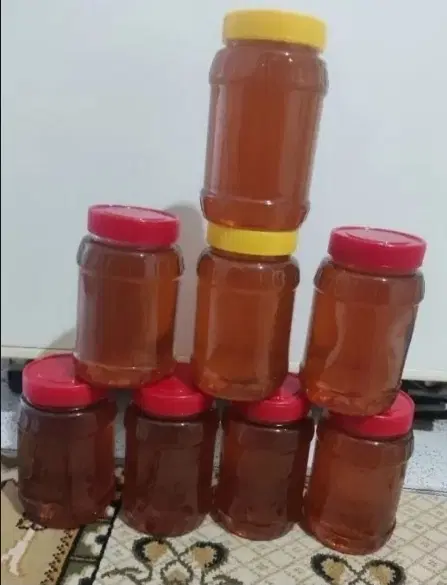 عسل|خوردنی و آشامیدنی|ایلام, |دیوار
