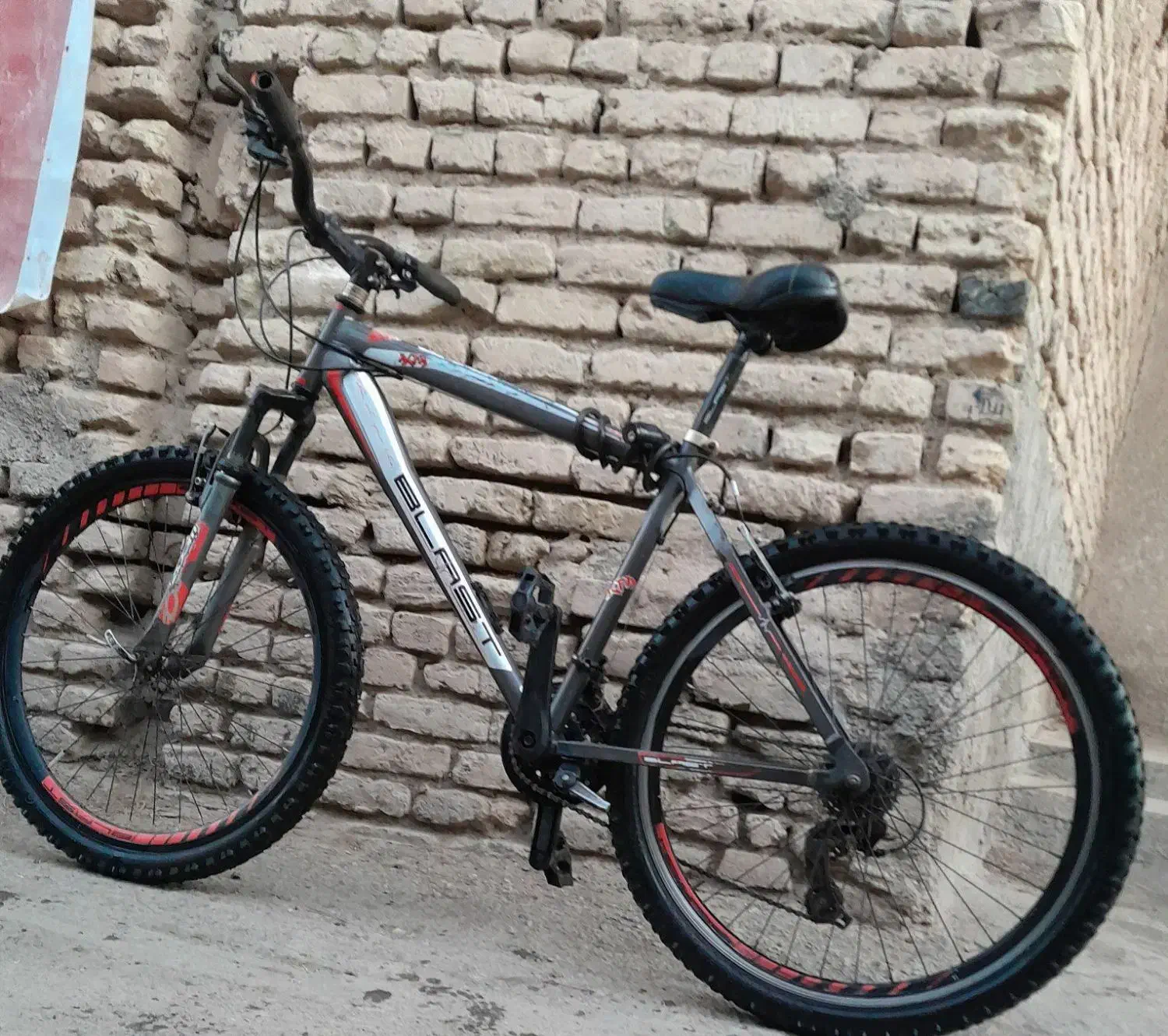 دوچرخه بلست|دوچرخه، اسکیت، اسکوتر|تربتحیدریه, قائم|دیوار