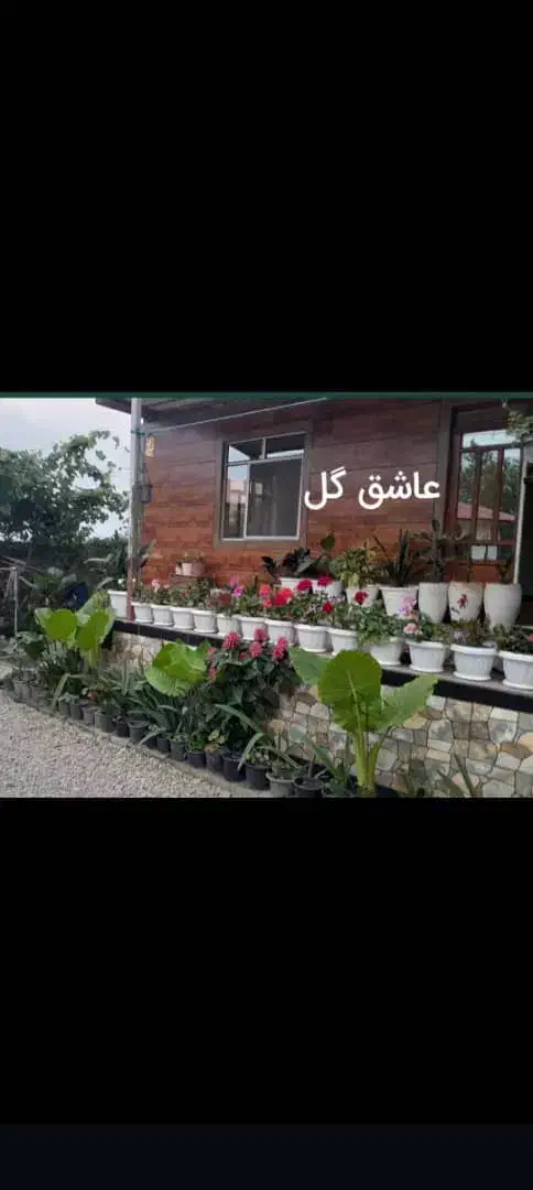 فروشی دوواحد زیر قیمـت|فروش خانه و ویلا|لیسار, |دیوار