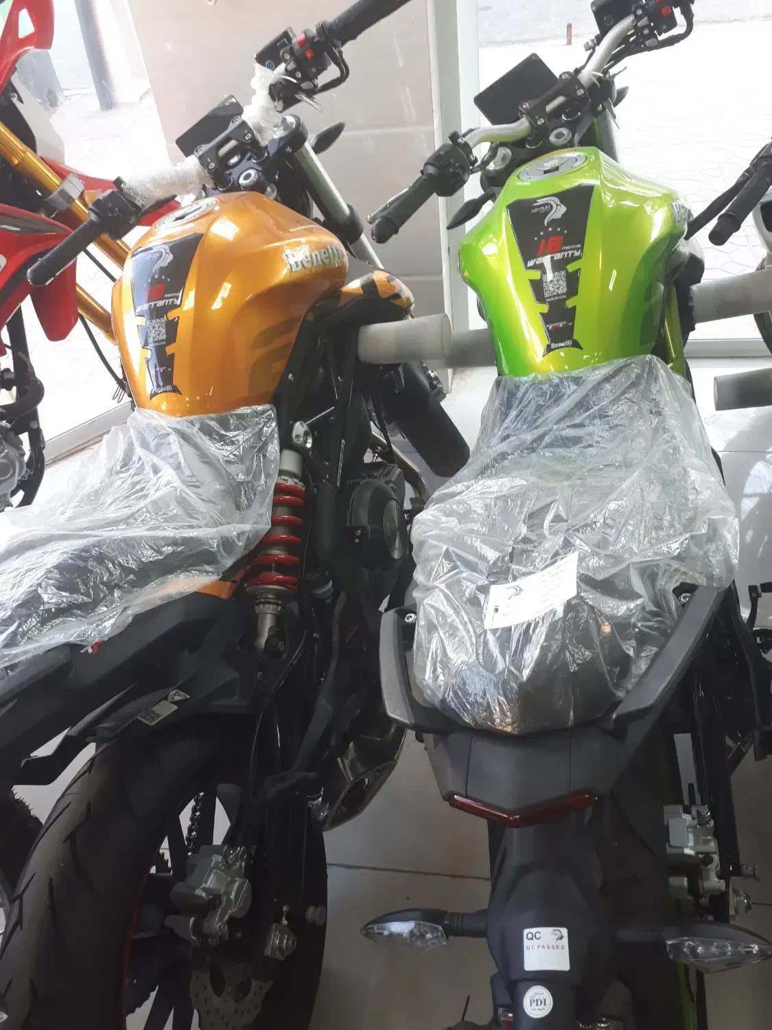 بنلی جفت سیلندر ۳۰۰ خشک|موتورسیکلت|بیجار, |دیوار