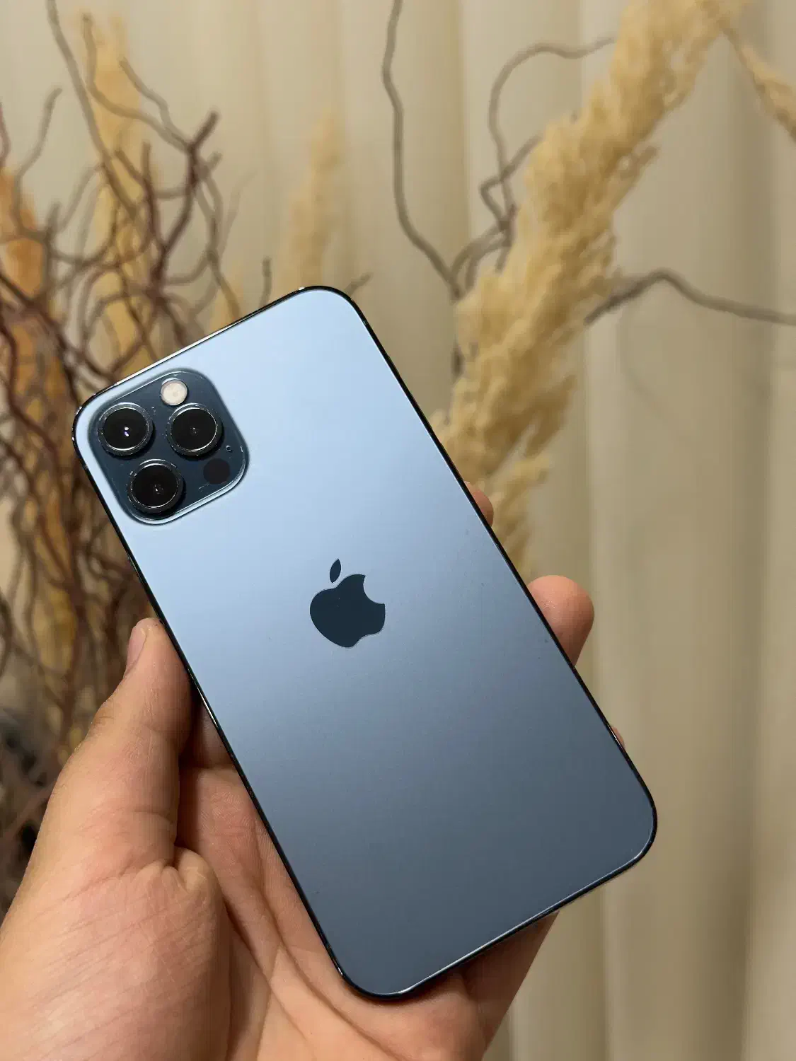 12pro|موبایل|بوشهر, |دیوار