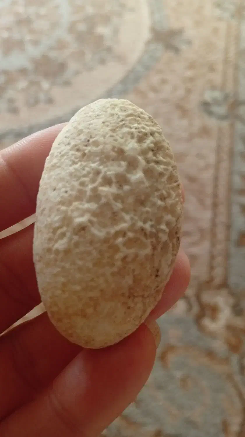 سنگهای قیمتی|کلکسیون اشیاء عتیقه|تبریز, |دیوار