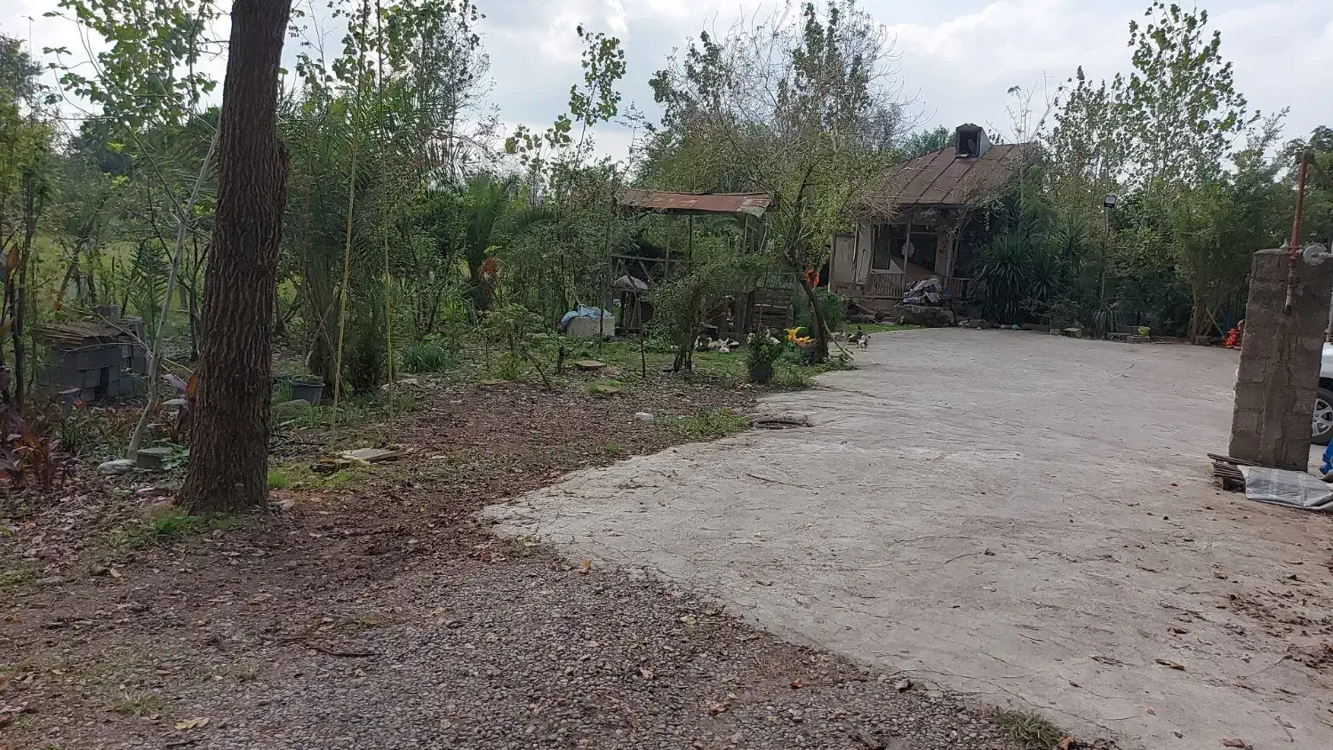 یک باب خانه کلنگی با زمین|فروش زمین و ملک کلنگی|رشت, بیجارپس|دیوار