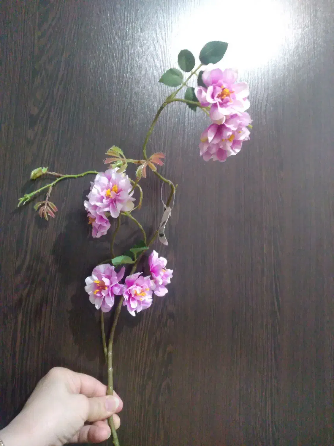 گل پارچه ای شاخه ای|گل مصنوعی|اهواز, بهارستان|دیوار