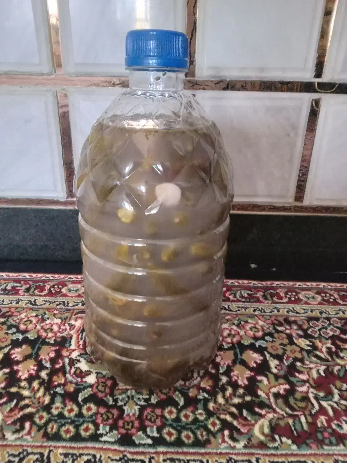 خیارشور 16عدد|خوردنی و آشامیدنی|گیان, |دیوار